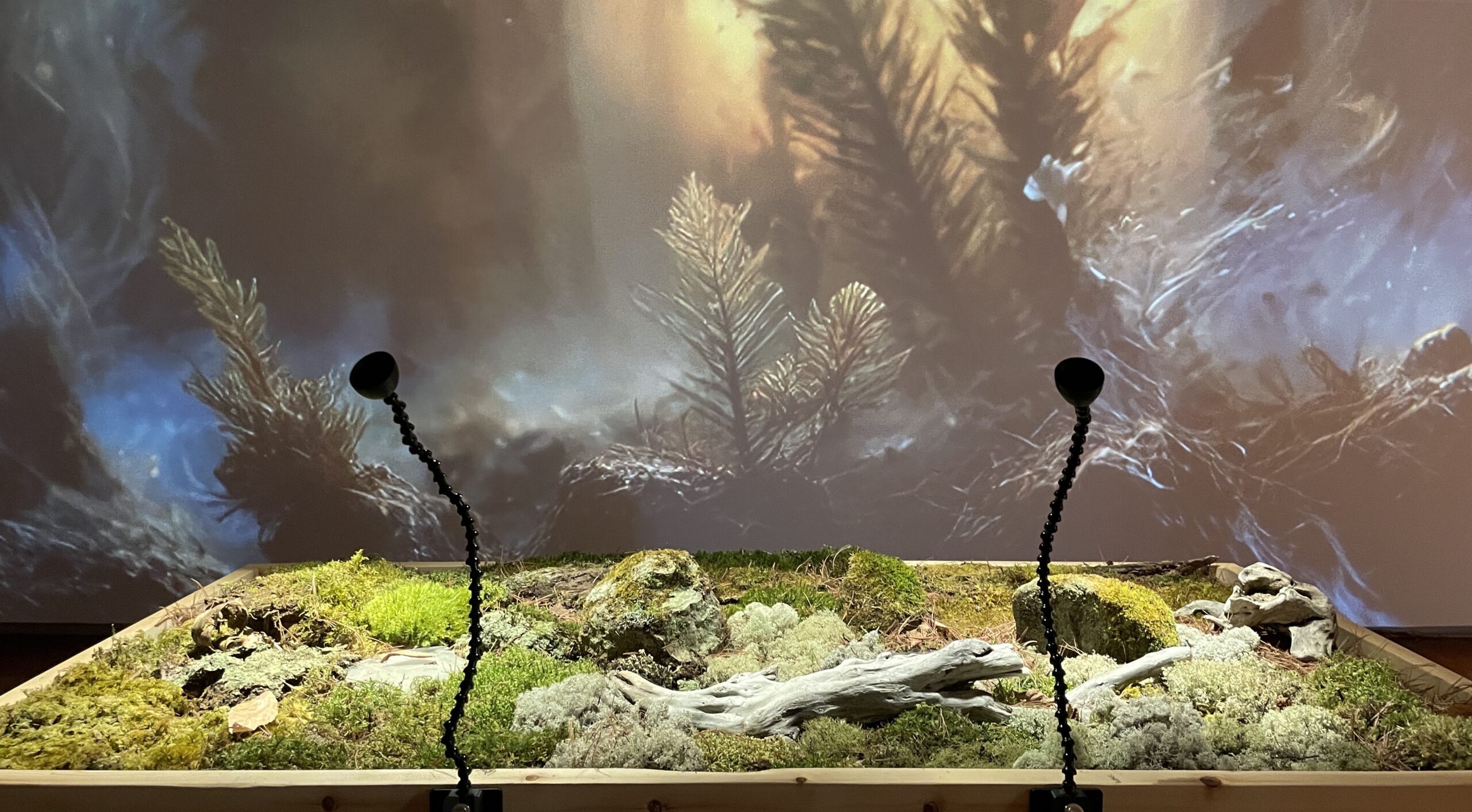 Pascal Champagne Artist - Creative Technologist Installation for Léa Hiram - Territoires Olfactifs - Pays de Grasse France